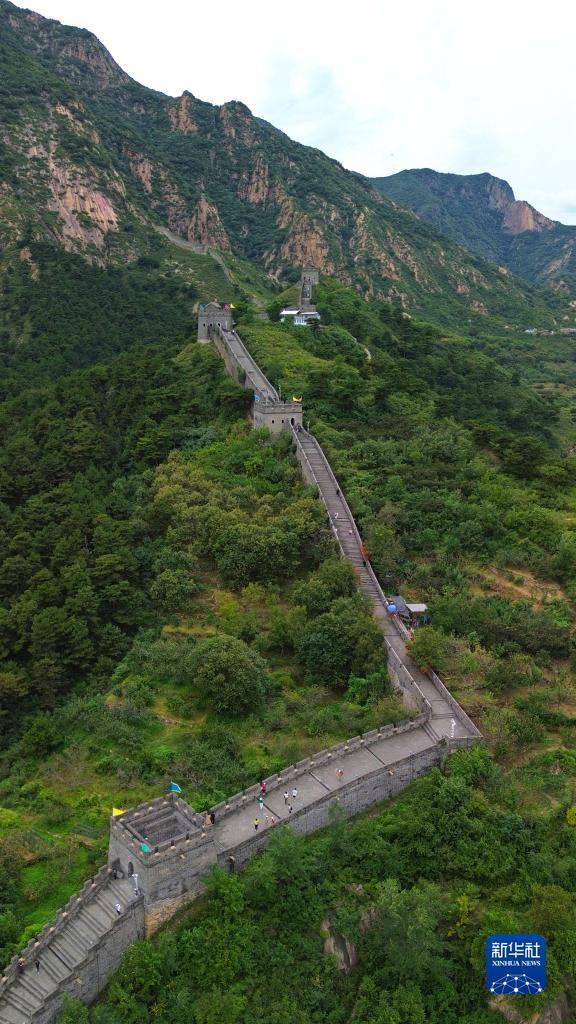 澳门在线技巧