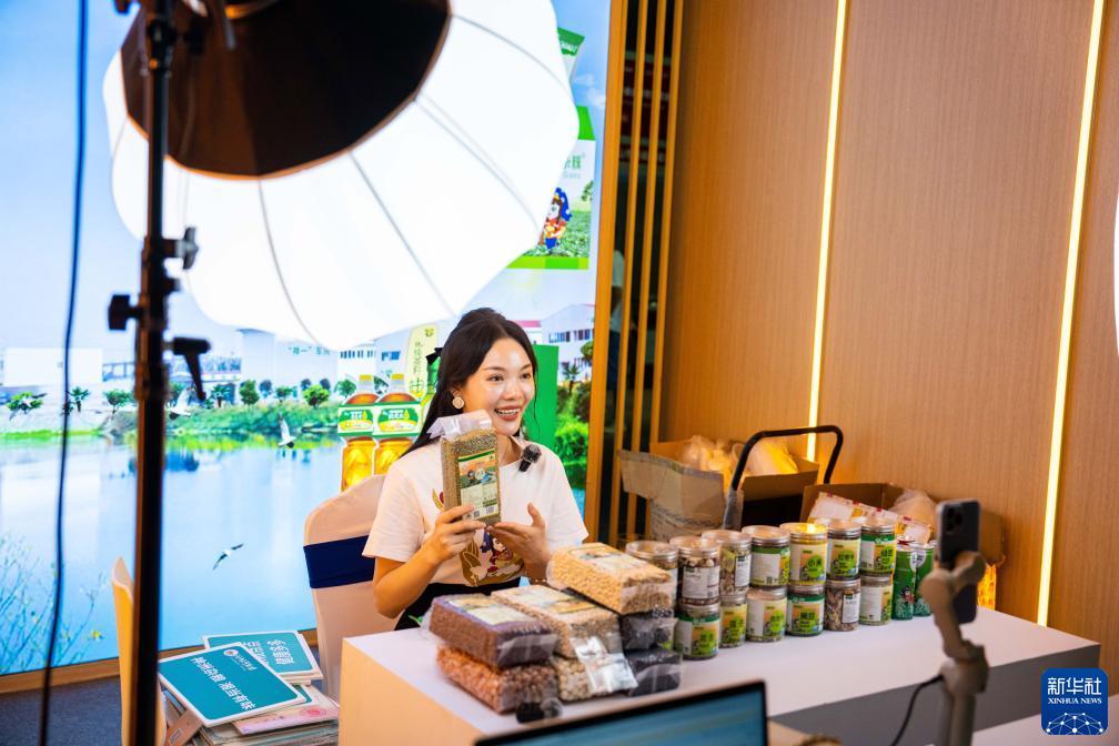 免费炸三张金花游戏下载